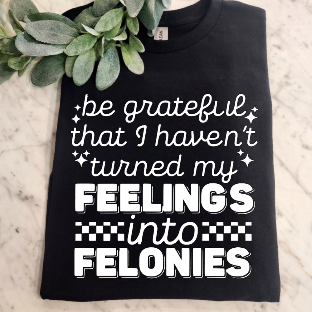 Funny shirt Turned My Feelings Into Felonies Sarcasm humor Cute Retro